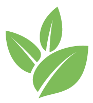 Buzz Bush Stump Removal