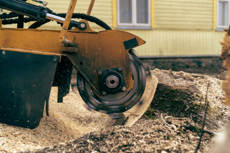 Spring Stump Removal Equipment