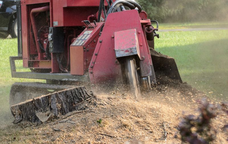 Summer Stump Grinding