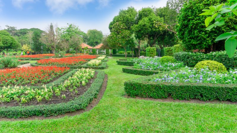 Lawn and Shrubs with Defined Borders